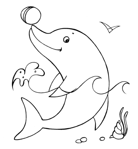 Dolphin With The Ball Coloring Page